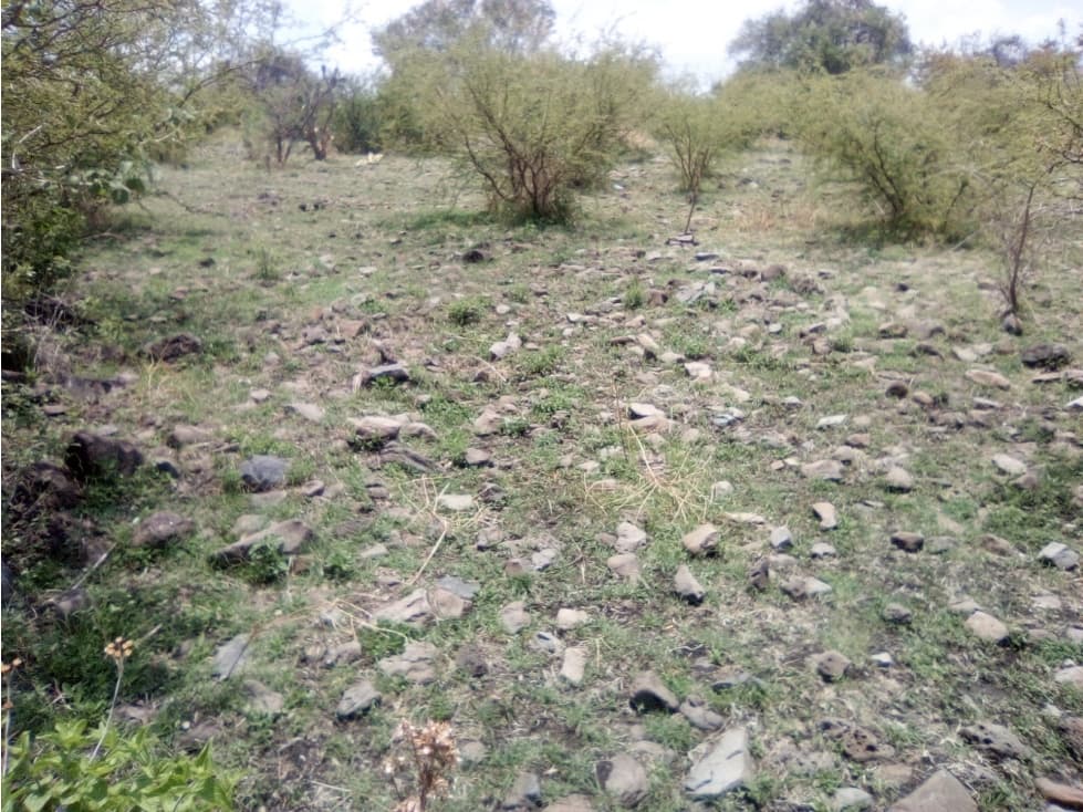 TERRENO LA YERBABUENA DE 108.00 M2 - 1