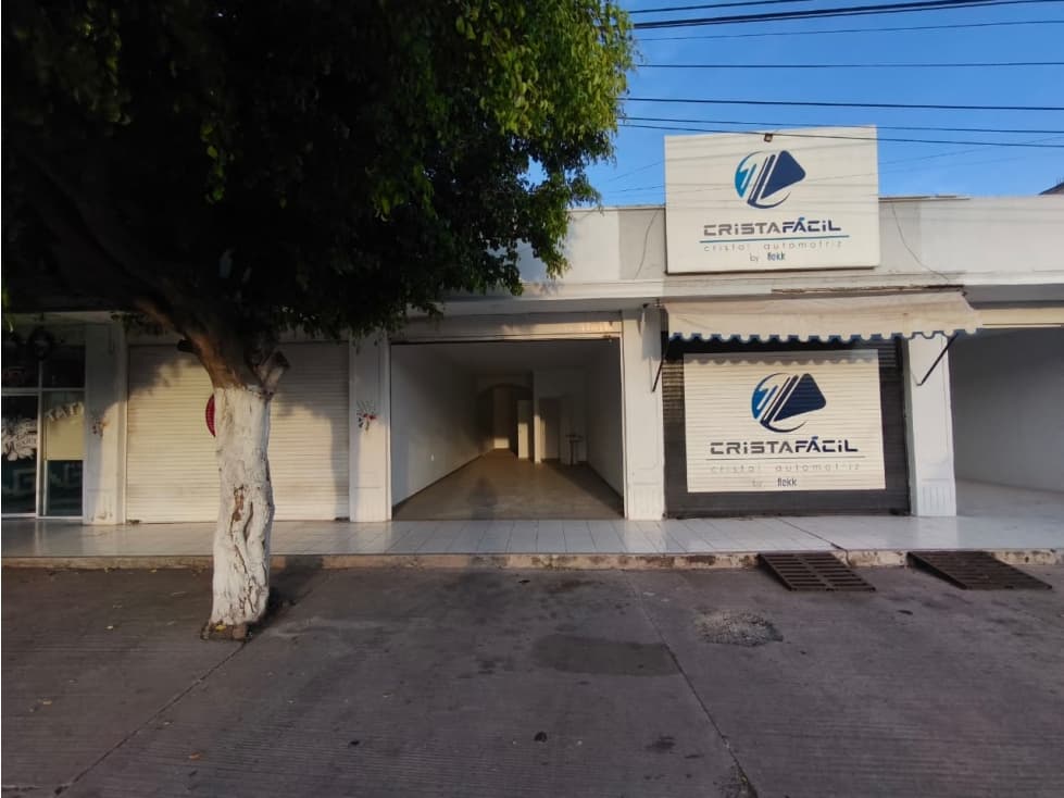2 LOCALES EN RENTA 68 M2, PLAZA ANAHUAC (LA YERBABUENA) SAHUAYO MICH. - 1