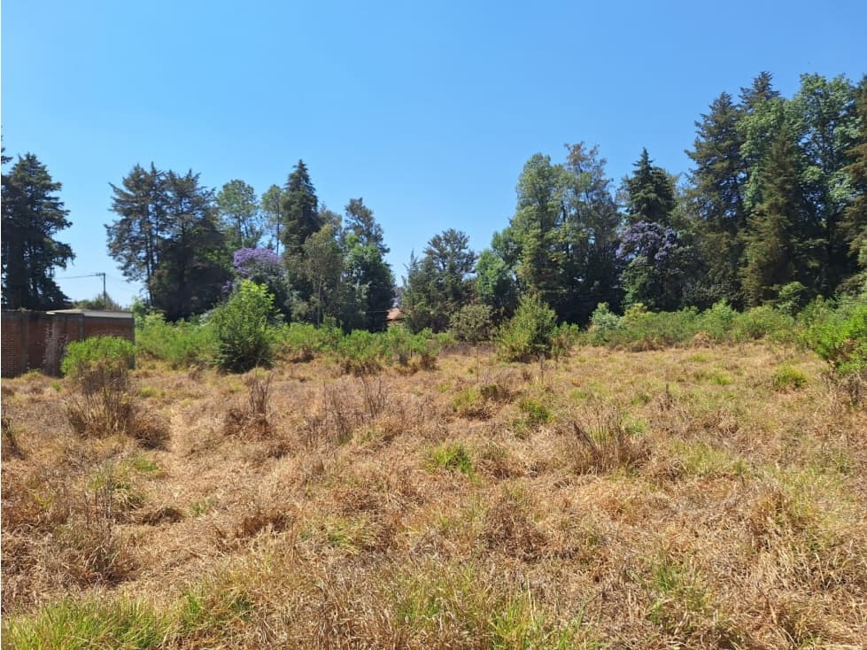 Dos terrenos en venta cerca del lago de Patzcuaro - 1