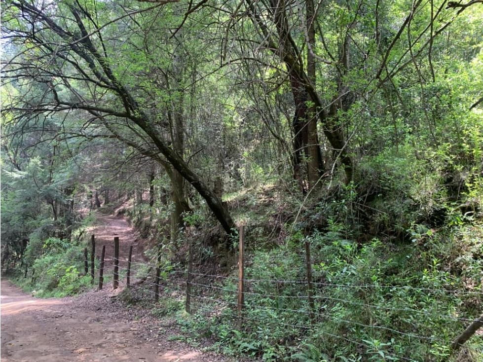 TERRENO EN VENTA - SAN LUIS AYUCAN - JILOTZINGO - 1