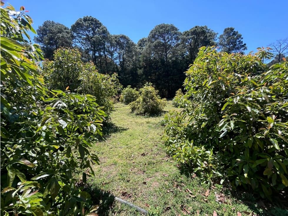 TERRENO UBICADO EN SAN GABRIEL IXTLA - 1