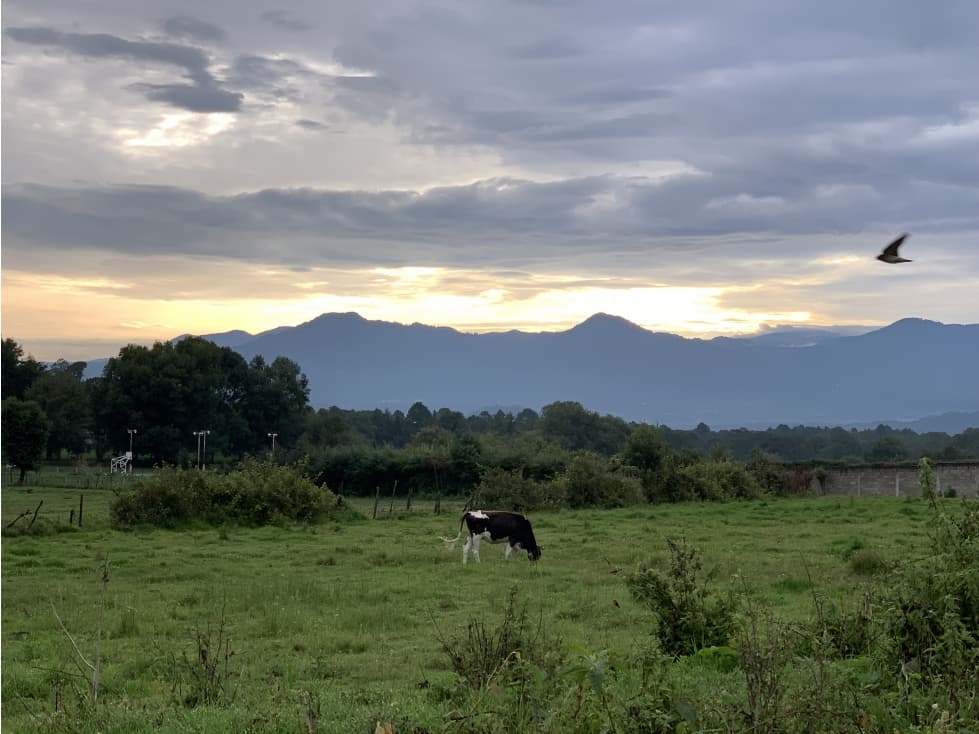 TERRENO EN VENTA, CERRO GORDO, VALLE DE BRAVO - 1