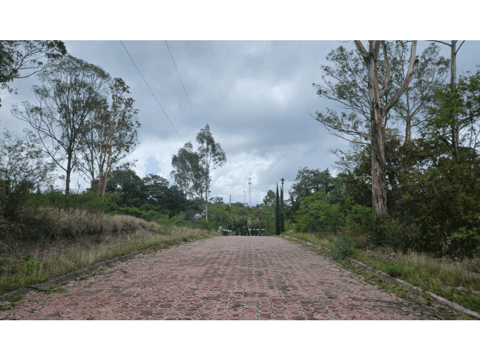 Lote en Venta en Fincas Haras del Bosque, Haras del Bosque, Puebla - 1