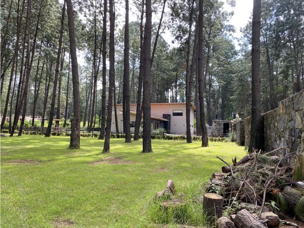 Terreno en venta en cerro gordo - 1