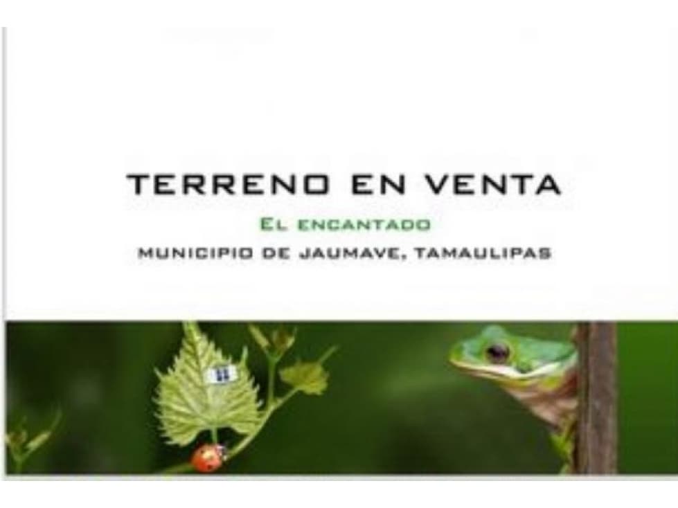 RANCHO EN VENTA TAMAULIPAS EL ENCANTADO - 1