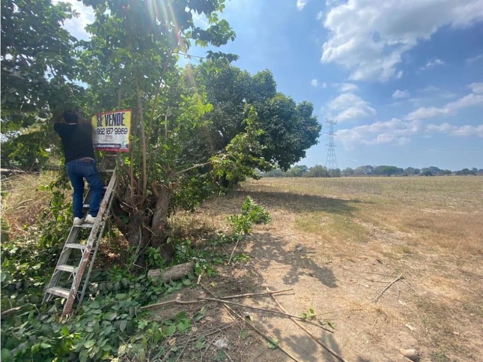 EN VENTA 26.4 HECTAREAS EN LA CEBADILLA, TAPACHULA; CHIAPAS - 1