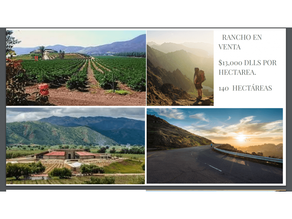 RANCHO VITIVINICOLA EN LA RUTA DEL VINO ENSENADA - 1