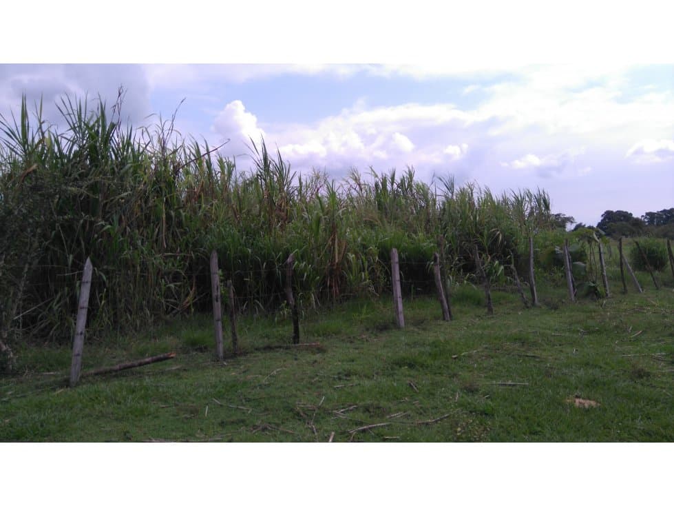 VENTA - Rancho La Cuchilla 77ha - 1