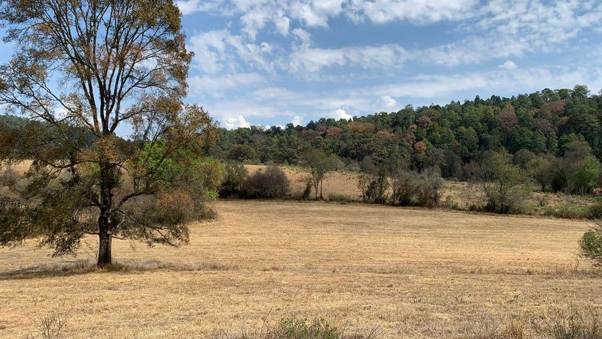 Terreno en venta para cultivo en invernadero Acuitzio / Madero Mich - 1