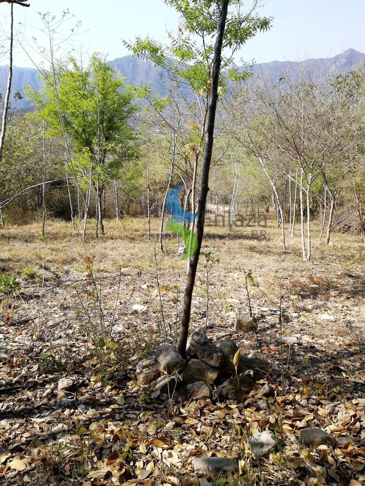Terreno en venta Santiago- Alamo Monterrey - 1