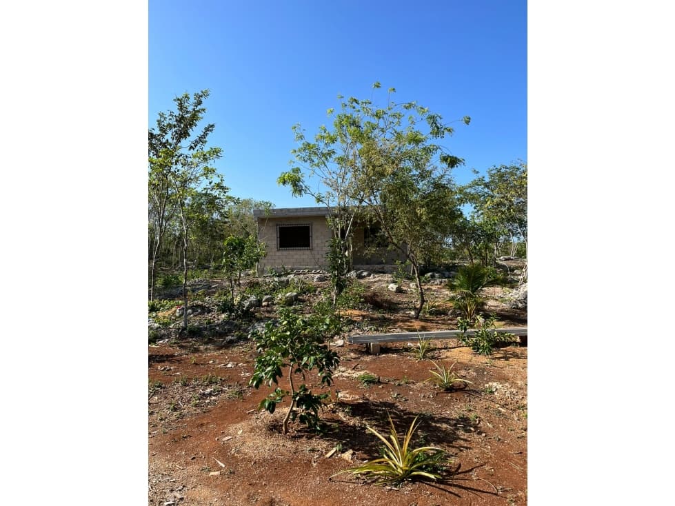 ¡FINCA EN VENTA EN TIXHUALACTÚN! - 1