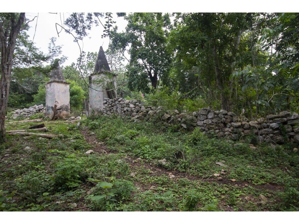 Rancho en venta de 121 hectáreas en Uayma Yucatán - 1