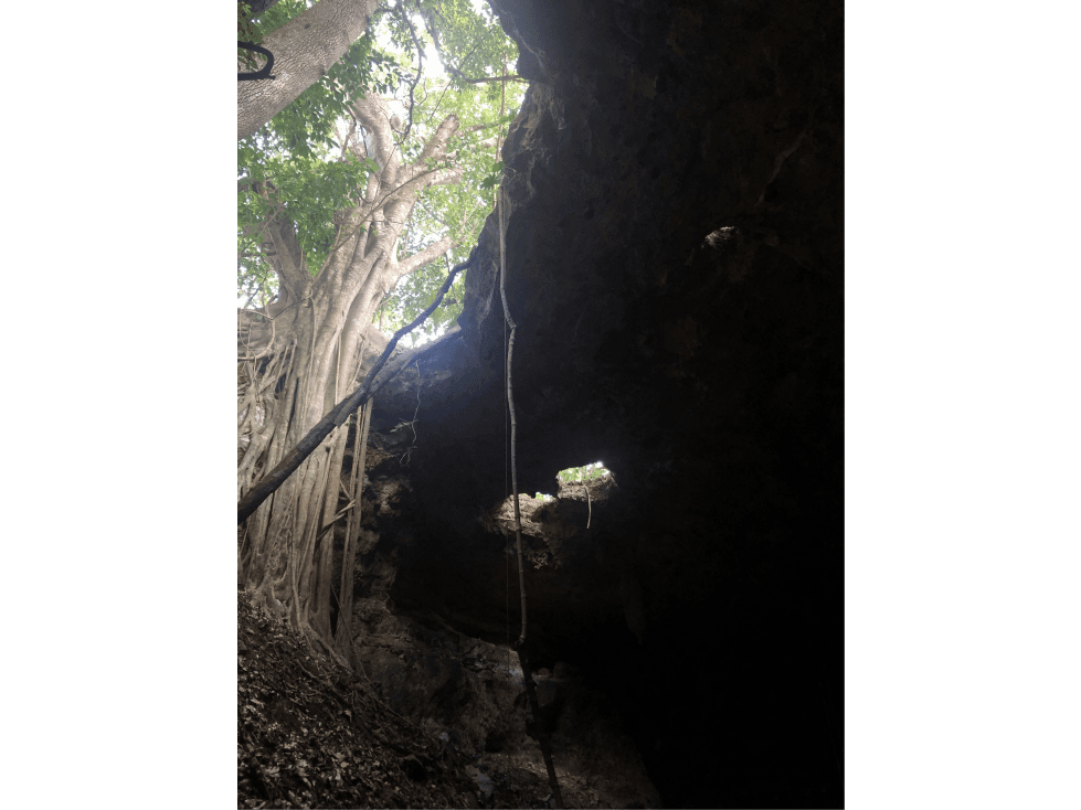 Cenotes en venta en Yalcobá - 1