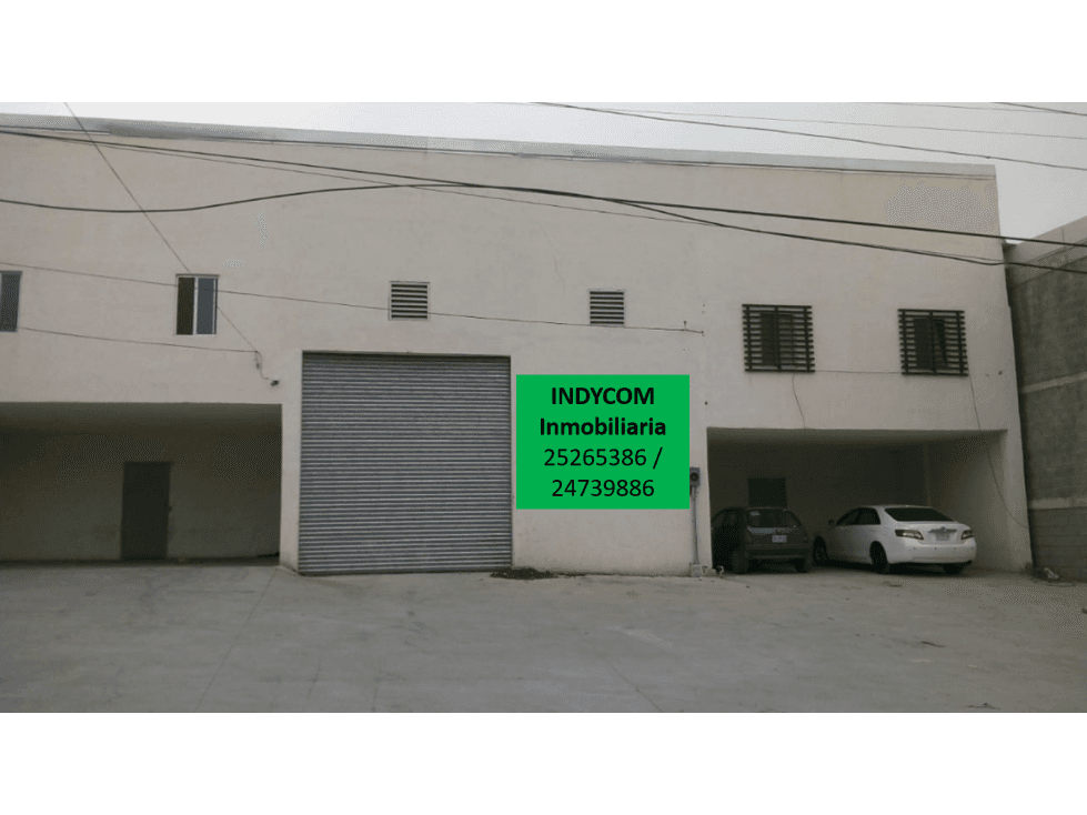 Bodega - 1