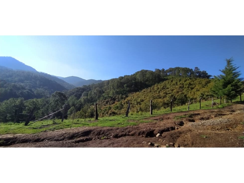 Rancho en venta de 15 hectáreas por Zitácuaro, Mich. - 1