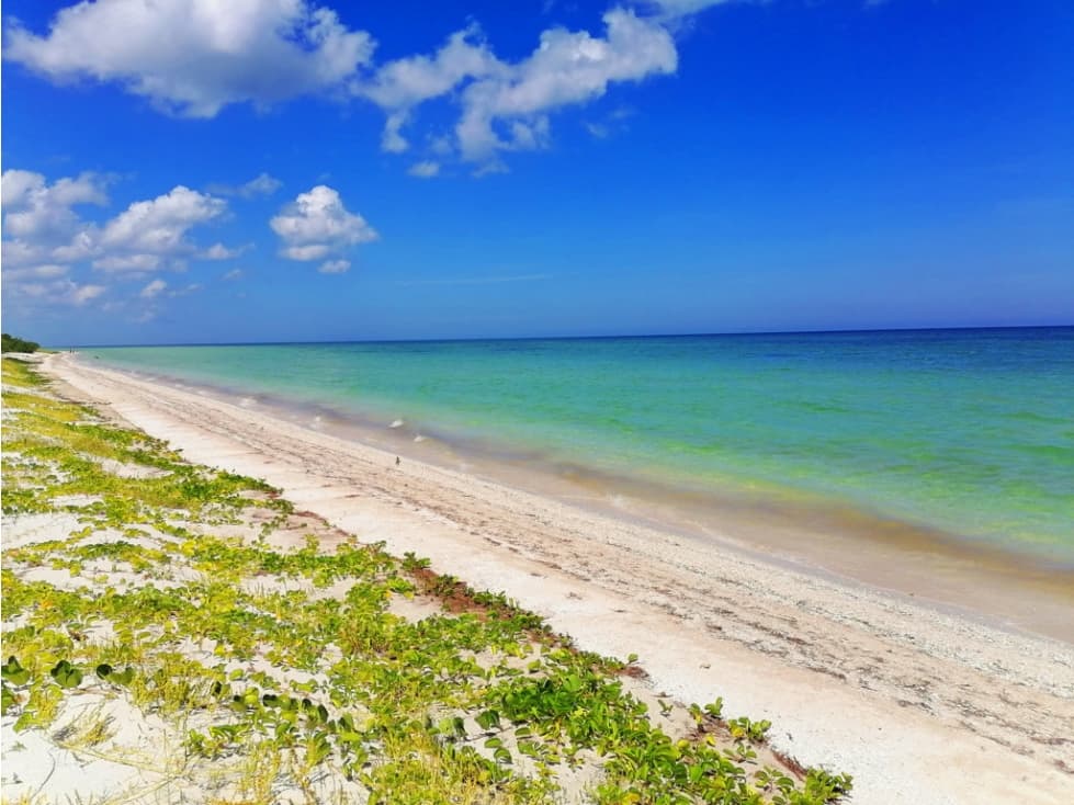 Departamento en la playa a 1 hora de Mérida, Yucatán. - 1