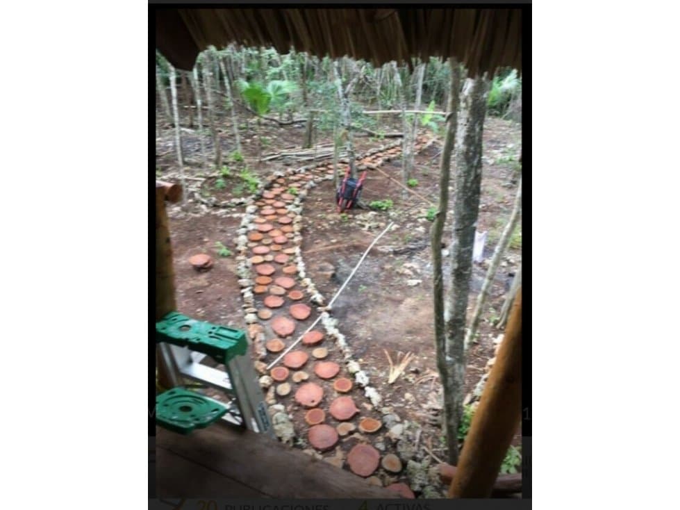 Venta Rancho 5h con cenote a pie de carretera - 1