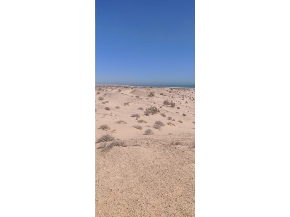Terreno a orilla de playa y carretera El Golfo- Puerto Penasco - 1