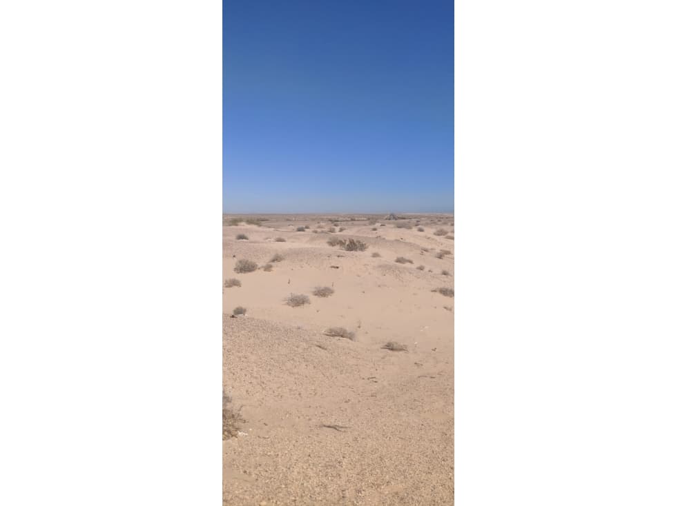Terreno a orilla de carretera El Golfo- Puerto Penasco 70 Hectareas - 1