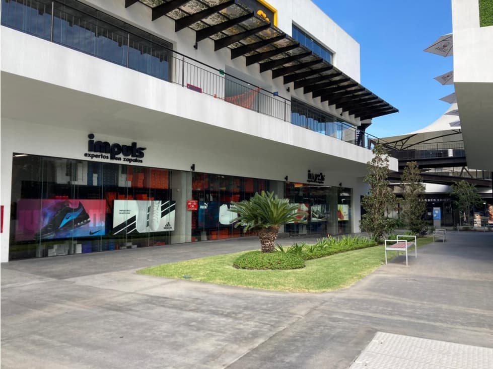 Oficinas en Renta en Raúl Salinas 407 mts2 pb nivel en Plaza LSL - 1