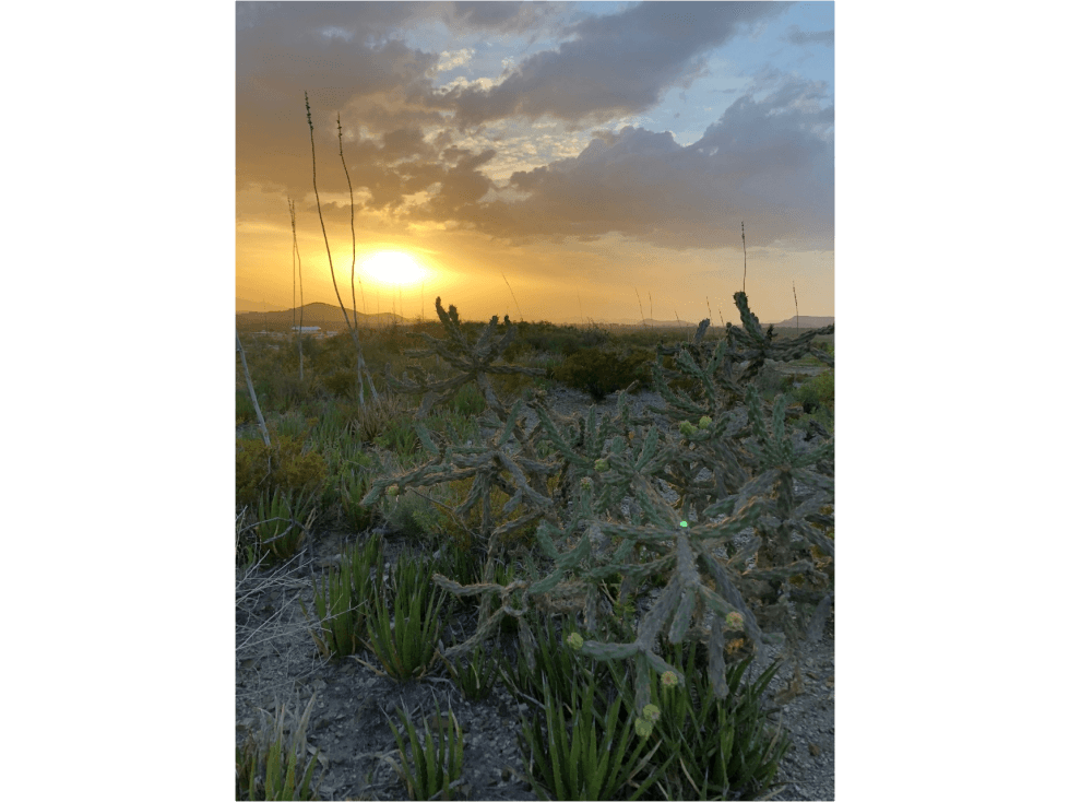 Terreno en venta Parras Coahuila, muy cerca de bodegas vinícolas AVC - 1