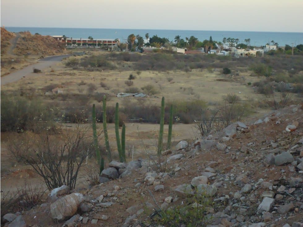 Terreno en VENTA en San Carlos, Sonora - 1