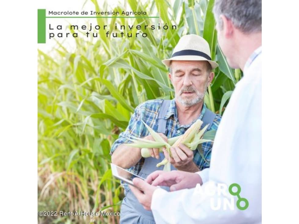 Terreno agricola en Hopelchen Xcupil RT  22-4543 - 1