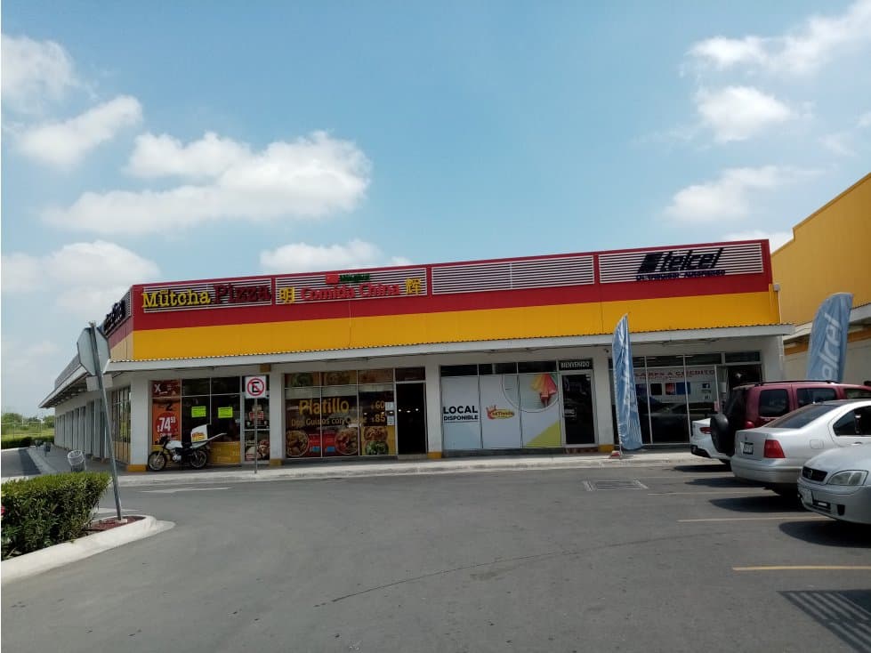 LOCAL 15-E MI TIENDA DEL AHORRO PLAZA DEL BOSQUE - 1