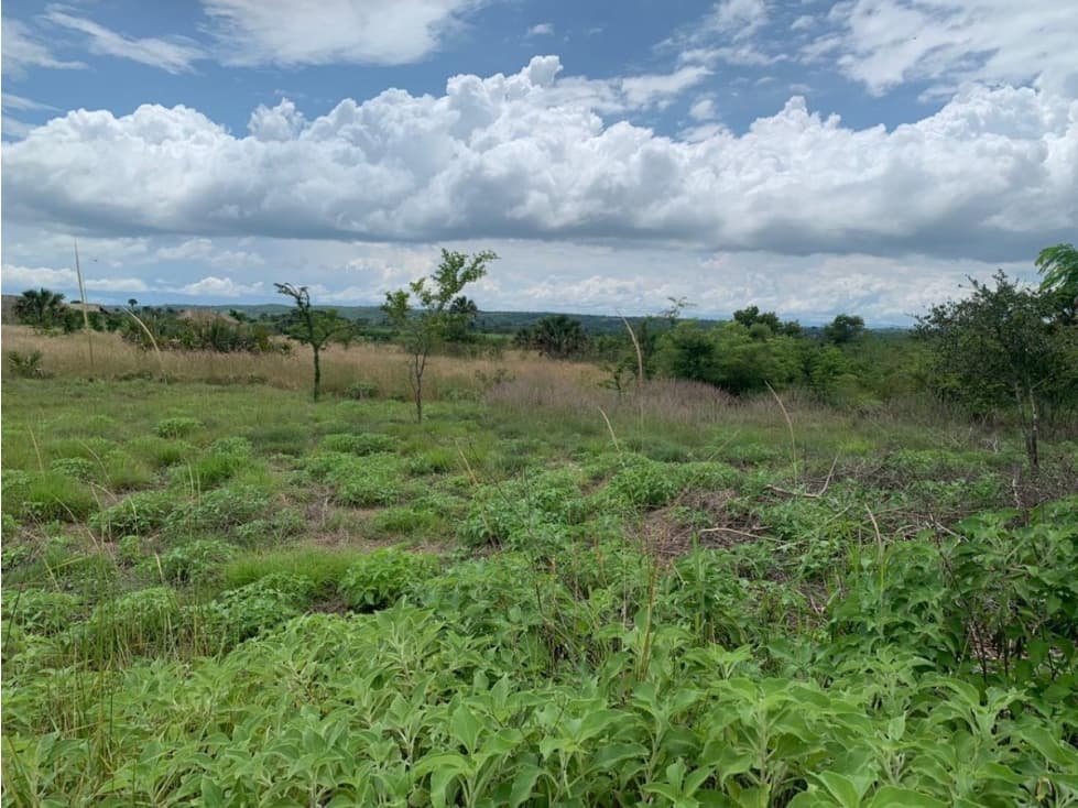 TERRENO EN VENTA - 1