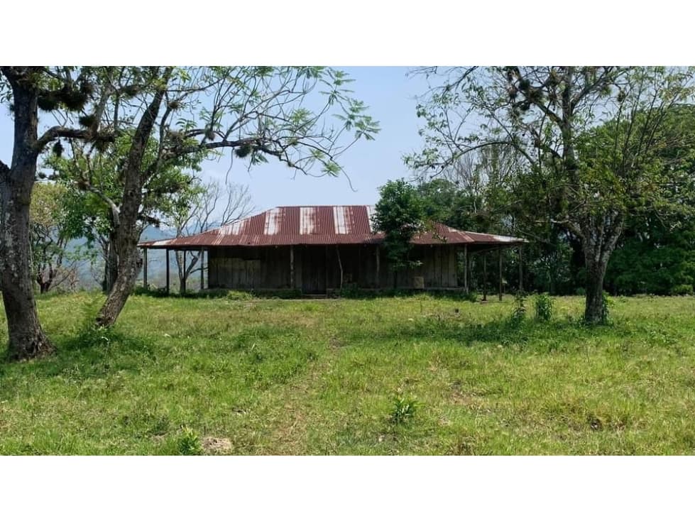SE VENDE RANCHO GANADERO DE 190 HECTAREAS EN PALENQUE CHIAPAS. - 1