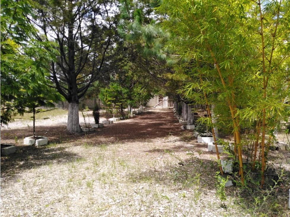 Linda quinta para fines de semana y reencontrarte con la naturaleza - 1