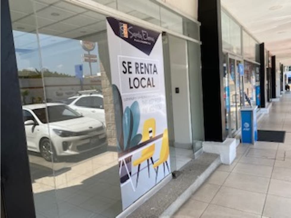 LOCAL EN PLAZA SANTA ELENA BOULEVAR BELISARIO DOMÍNGUEZ. - 1