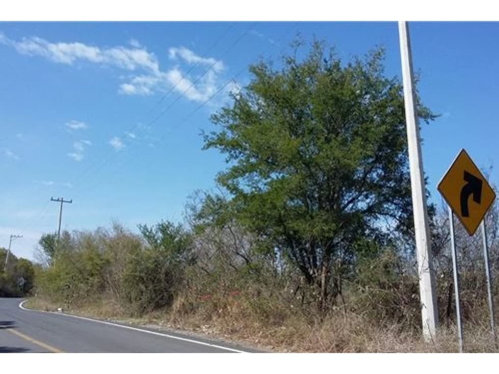 TERRENO EN VENTA EN SAN AGUSTÍN DE LOS ARROYOS MONTEMORELOS - 1