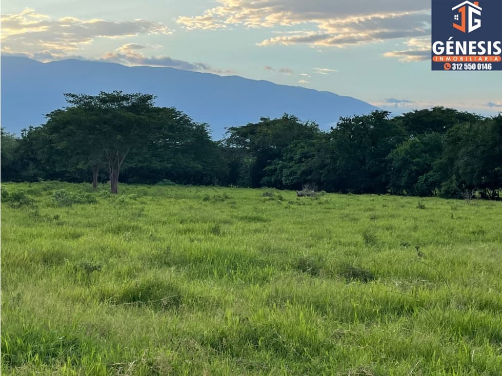 Terrenos en Venta en Colima - 1