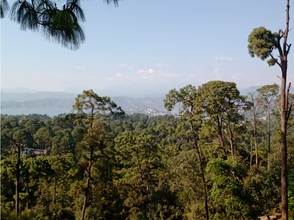 LOTES 30 Y 31 CON VISTA AL LAGO EN FRACCIONAMIENTO - 1