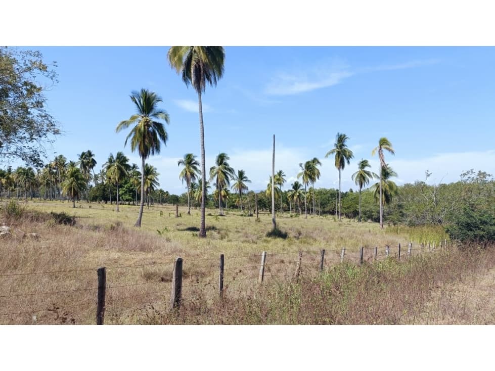 10 HECTAREAS EN VENTA EN EL VENADO A 600 METROS DE LA PLAYA - 1