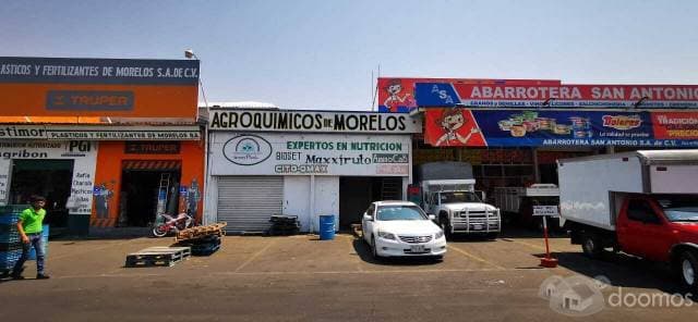 BODEGA EN CENTRAL DE ABASTOS CUAUTLA, MORELOS - 1