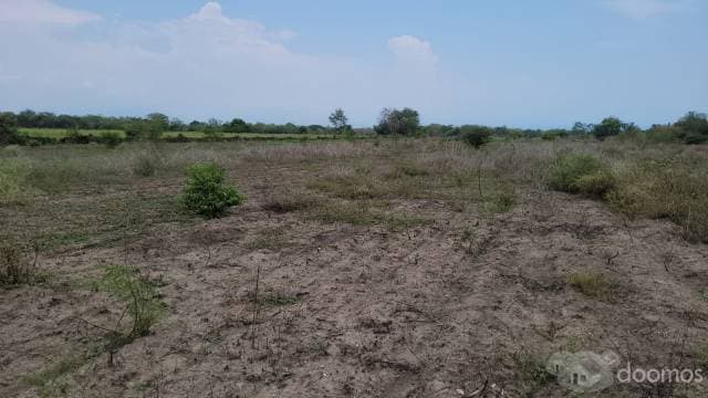 Terreno en Venta en Bahía de Banderas - 1