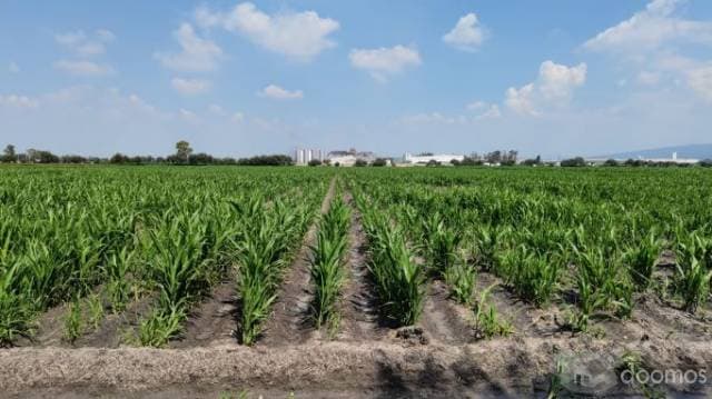 SE VENDE TERRENO EN VILLAGRAN, GTO - 1