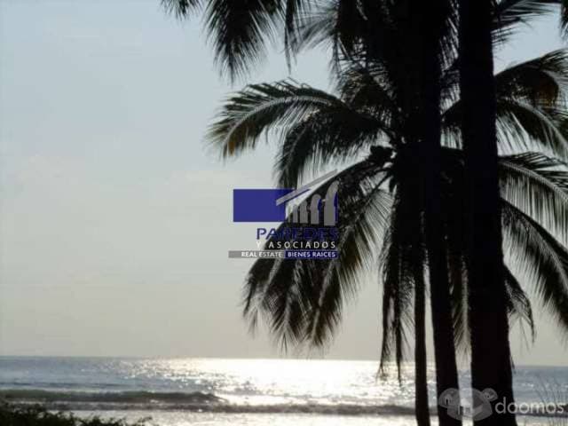 Pantla zona Ixtapa 113 hectareas con 800 m2 frente de playa T539 - 1
