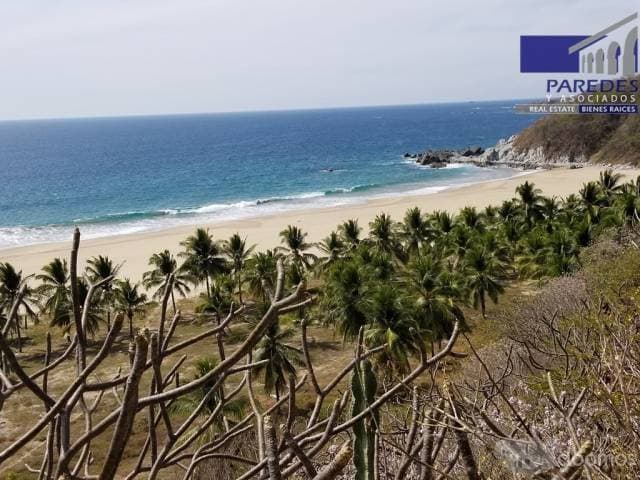 T547 Venta de Terreno de 25000 m2 frente playa larga Zihuatanejo para desarrollar - 1