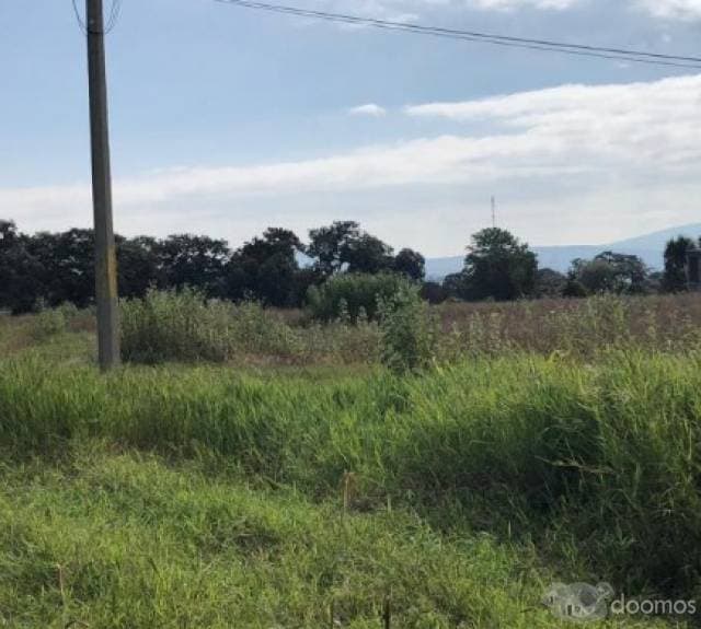 TERRENO EN VENTA EN LA COLONIA ARBOLEDAS EN COMALCALCO TABASCO - 1