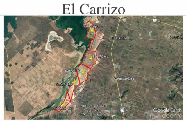 Terreno en venta de 560 hectareas localizado en el Carrizo, Municipio De Ahome Sinaloa, Mexico - 1