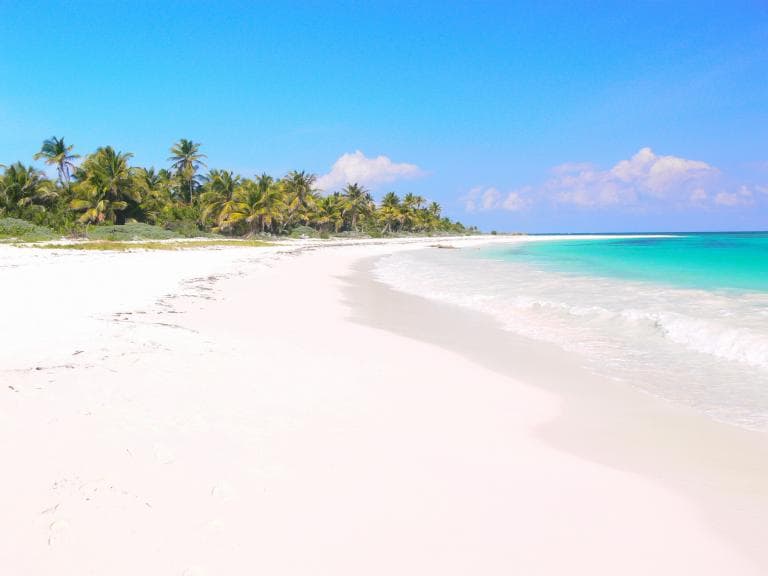 Excelente terreno frente al mar Caribe. - 1
