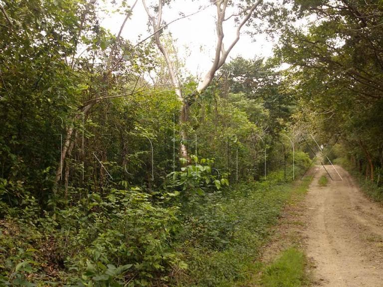 Terreno en Venta en La Laja de Coloman - 1