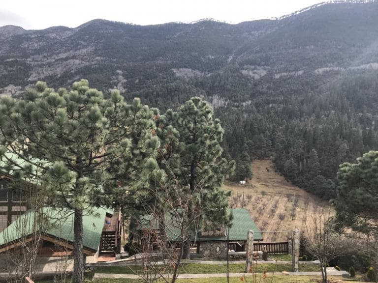 VENTA DE FRACCIONAMIENTO CAMPESTRE EN COAHUILA - 1