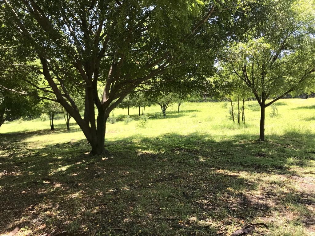 terreno en Morelos - 1