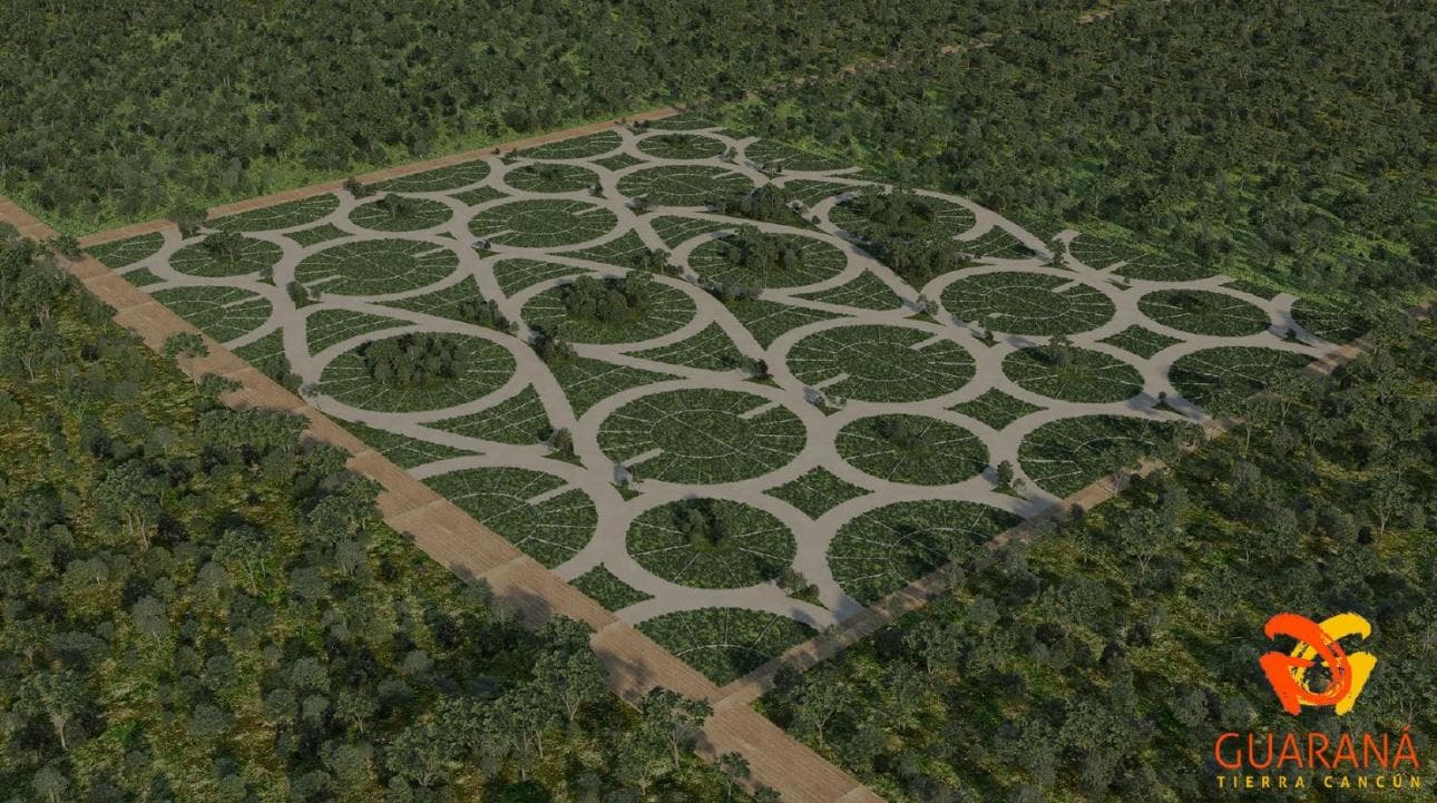 Guaraná: Terrenos de inversión desde 235m² en Cancún. - 1