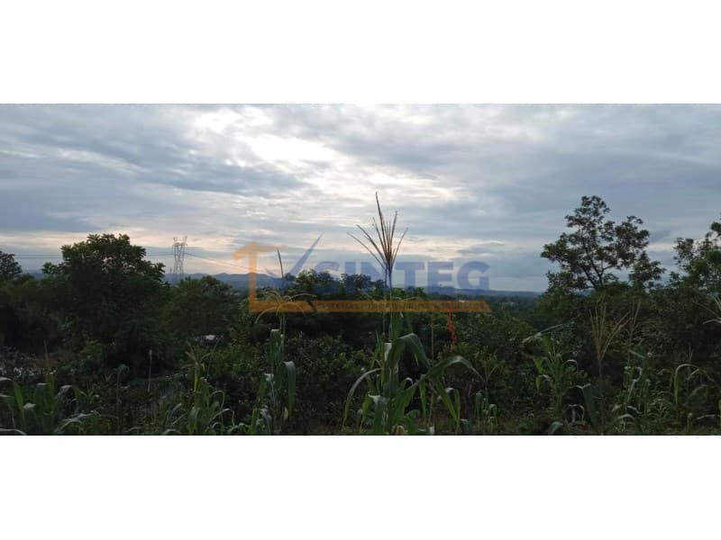 VENTA DE TERRENO 230 M EJIDO COL. AMPLIACION MANANTIAL TIHUATLAN VERACRUZ, San Miguel Mecatepec - 1