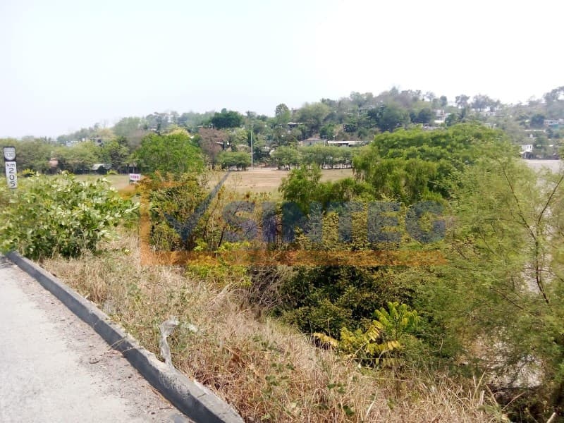 RENTA TERRENO 35,000 M2 COL. NUEVO PROGRESO, TIHUATLAN, Nuevo Progreso - 1
